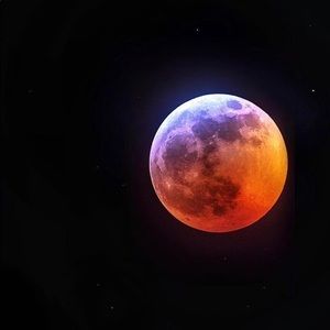 Meet your Posher, Lulu